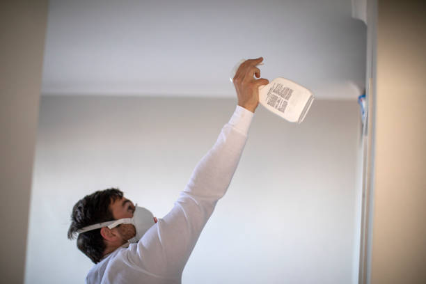 Best Mold Remediation  in Rio, WI