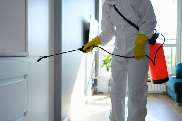 Best Certified Mold Removal  in Rio, WI